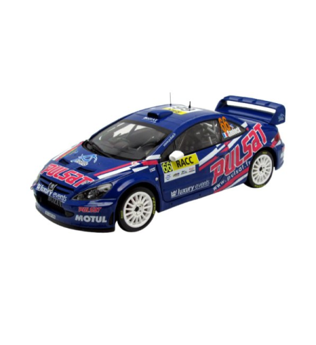 Peugeot, 307 WRC, 1/18