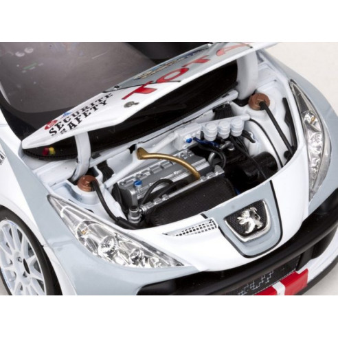 Peugeot, 207 S2000, Zerocar, 1/18