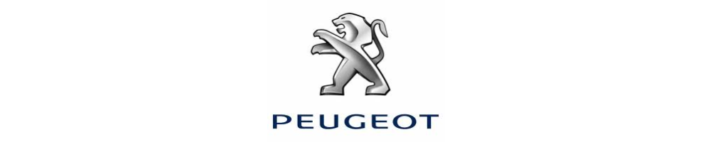 Fertigmodelle Peugeot
