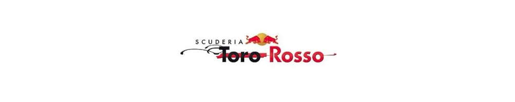 Fertigmodelle Toro Rosso